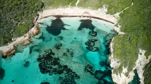 Le R�ve Du Large