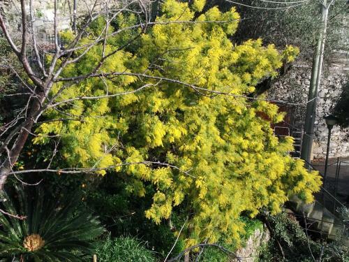 Apartamento Villa San Prospero