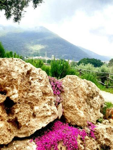 B&B Villa Giulia
