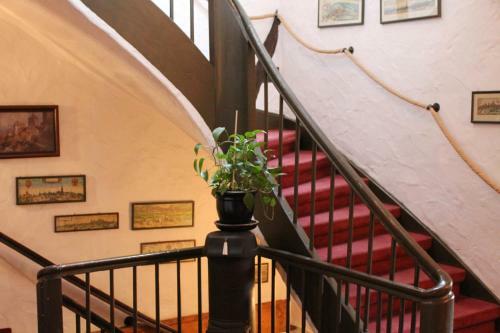 Hostal Hotel Spitzweg