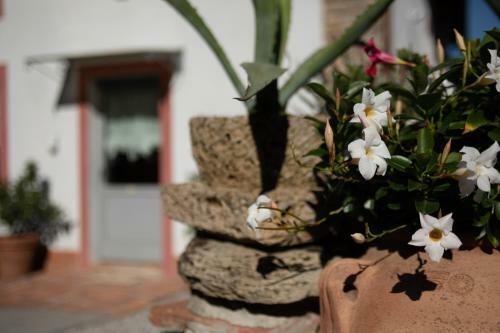 Bed & Breakfast Il Villano