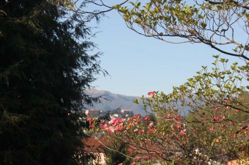 Bed & Breakfast Villa Onorina