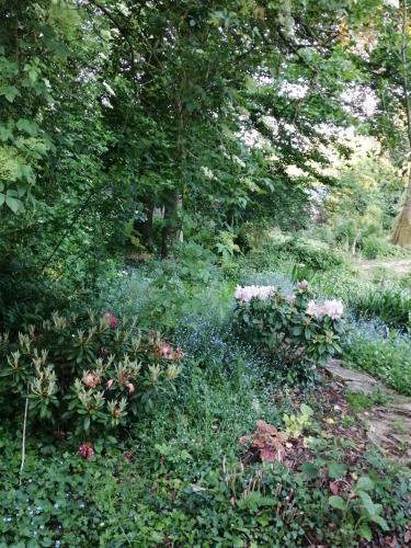 Le Domaine Des Jardins De Bracquetuit