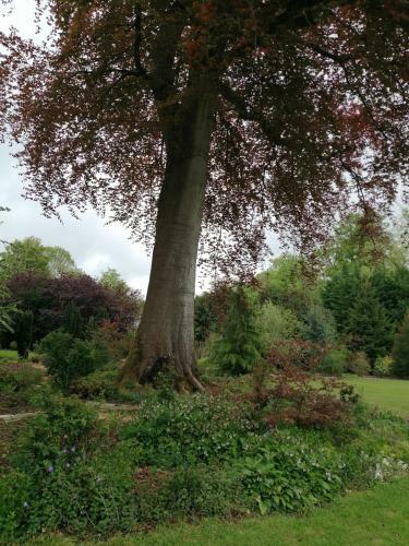 Le Domaine Des Jardins De Bracquetuit