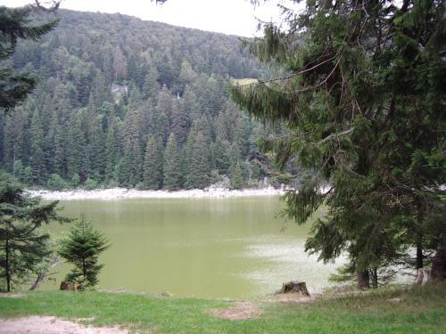 Apartamento G�te Avec Piscine Chez V�ro
