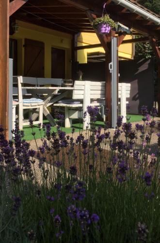 Apartamento G�te Avec Piscine Chez V�ro