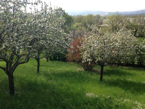 Apartamento Casale Del Monte