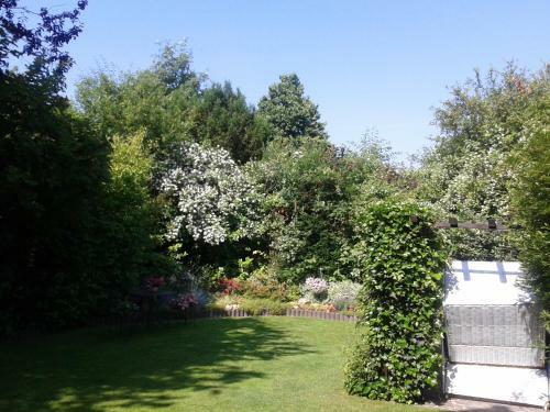 Apartamentos Haus Kollwitzweg - Ferienwohnungen