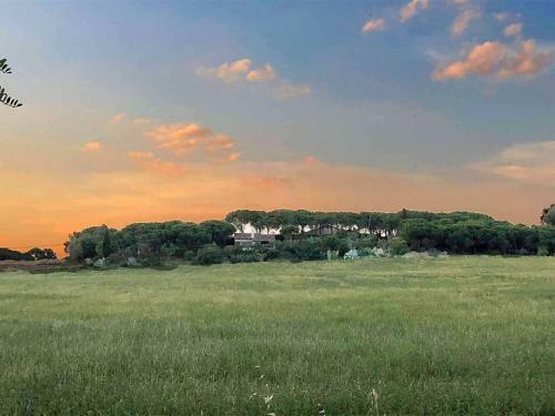 La Barraca
