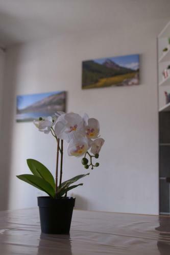 Apartamento Le Guisanel