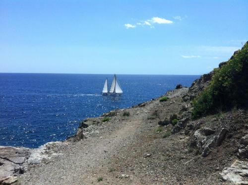 Isola D'elba Come In Barca, A Un Tuffo Dal Mare