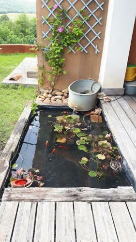 Villa Maison Enti�re De Campagne Avec Piscine