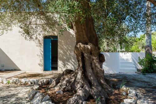 Villanetta Con Dependance E Piscina By Wonderful Italy