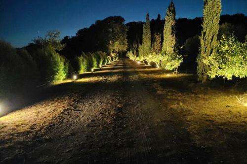 Casa In 8 Ettari Di Campagna, A 20' Dal Mare