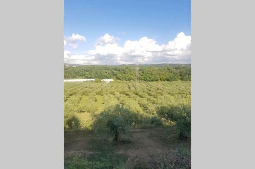Casa In 8 Ettari Di Campagna, A 20' Dal Mare