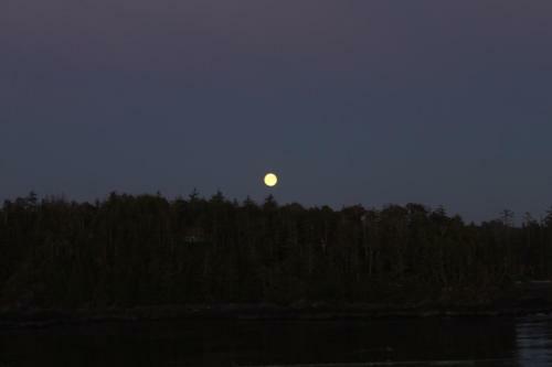 Apartamento Cygnet Cove Suites