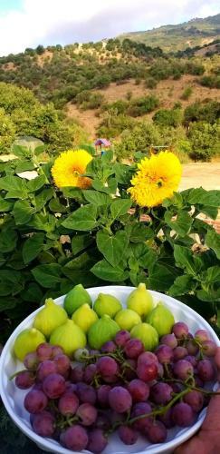 Bed & Breakfast Agriturismo Gentile