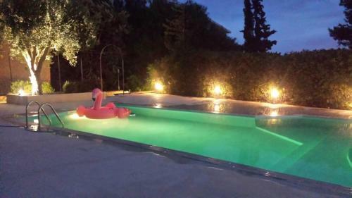 Villa Flore - Penthouse - Apartment In Villa