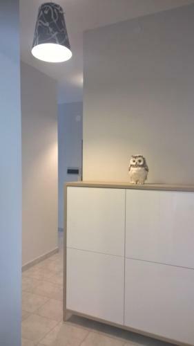 L'appartamentino B&B