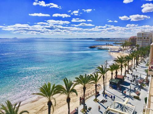 Holiday Apartments In Torrevieja Town