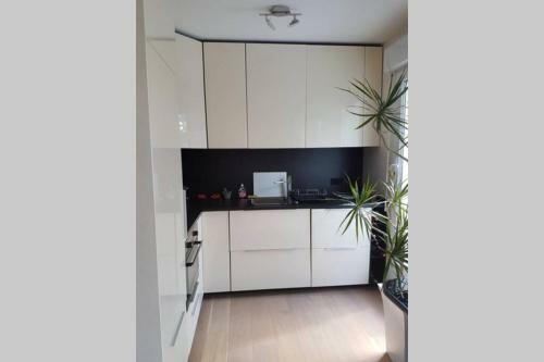 Apartamento Luxueux T2, Toit-terrasse