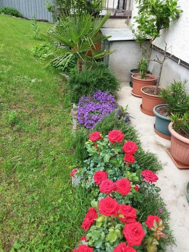 Apartamento B & B Sentiero Valtellina
