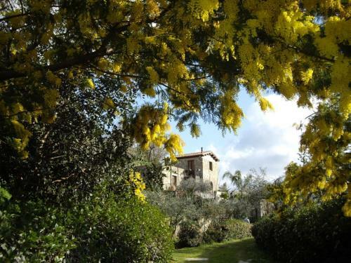 Agroturismo Villa Nibbio Nebrodi