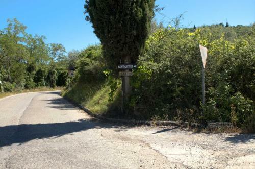 Casa Degli Ulivi - Cottage With Swimming Pool