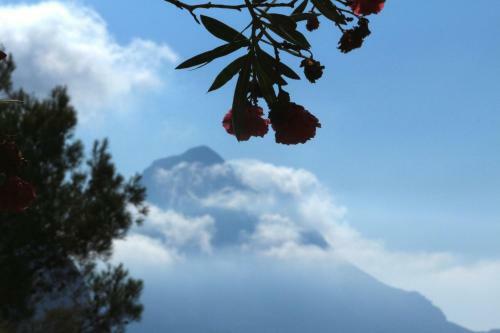 Bed & Breakfast Villa Verdesca