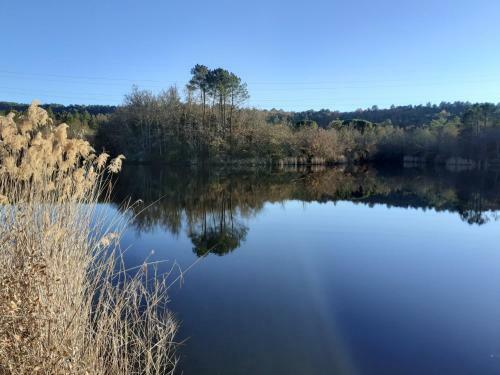 Bed & Breakfast La Salamandre En Provence