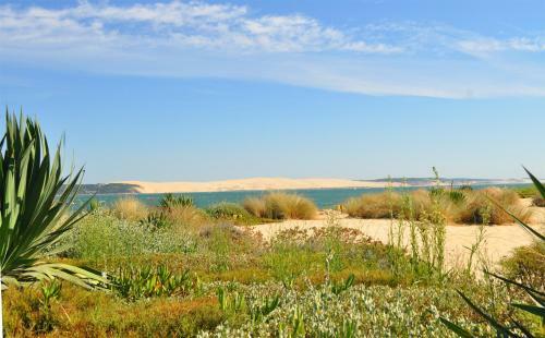 Apartamento Location De Vacances Bassin Arcachon