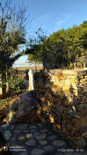 Case Cala Bucerno