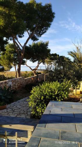 Case Cala Bucerno
