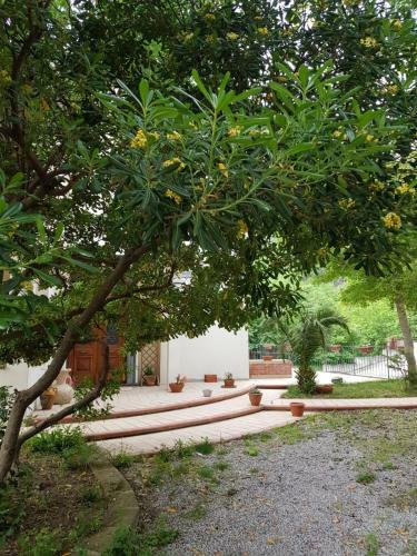 Apartamento Holiday House