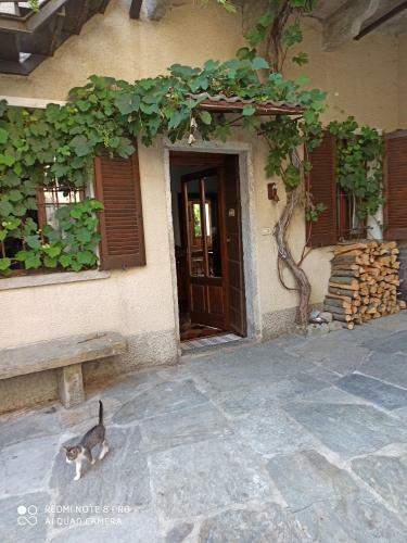 Apartamento Casa Olmi Dependance