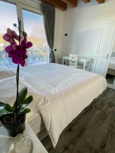 Agroturismo Agriturismo Albana
