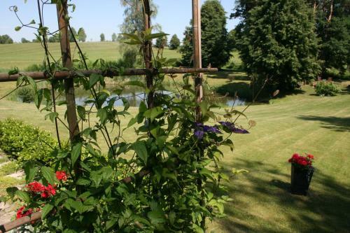 Bed & Breakfast Zielone Okiennice
