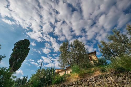 Castellina Di Bocco