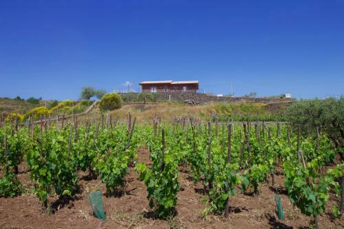 Agroturismo Etna Country House