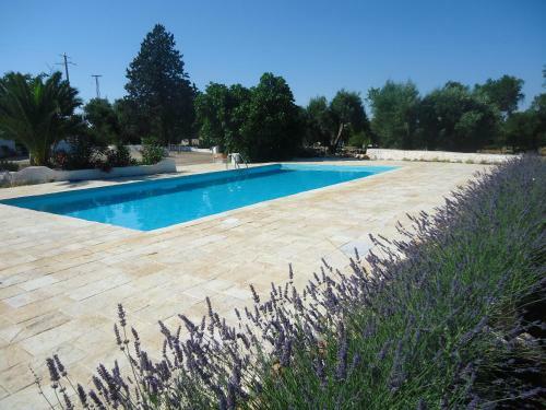 Villa Trullo Del Paradiso, Piscina - Giardino