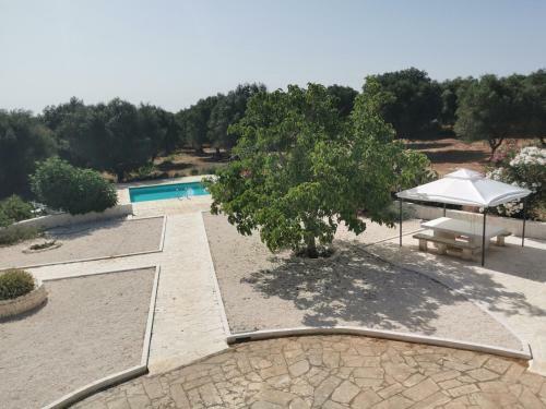 Villa Trullo Del Paradiso, Piscina - Giardino