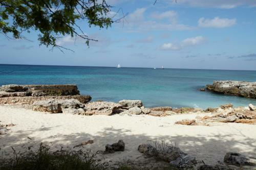 Villa Bougainvillea Aruba, The Tango Suite