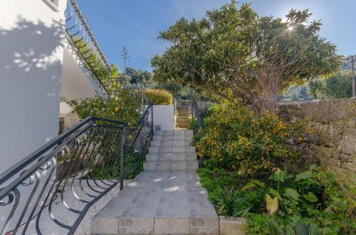 Apartments Ivanka