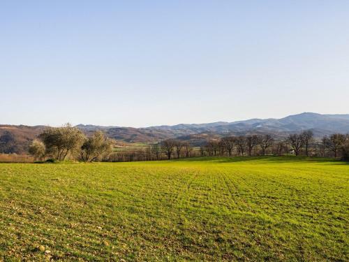 Lovely Apartment In Citerna With Swimming Pool