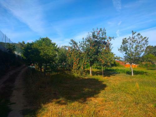 Agroturismo Porto Countryside House