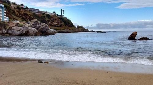 Apartamento Departamento En Costas De Montemar Con Con