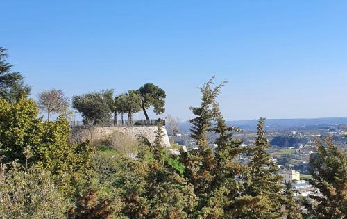 Beautiful Garden Apartment In Cisternino