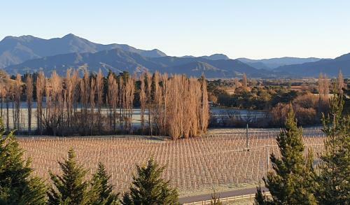 Apartamento Wine Country Luxury Cottage