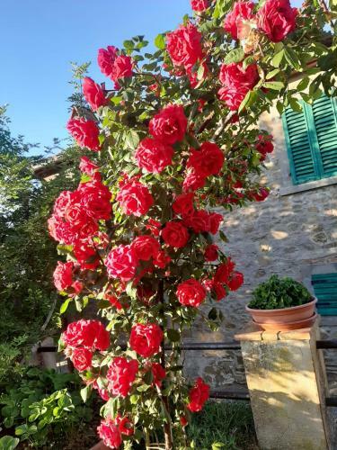 Apartamento Sunset Valley - A Tuscan Experience