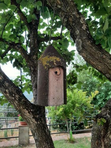 Apartamento Sunset Valley - A Tuscan Experience